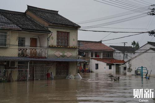 宁波洞桥镇最新爆料,揭秘神秘事件背后的真相